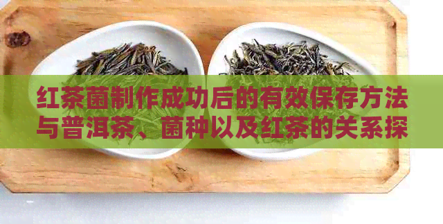 红茶菌制作成功后的有效保存方法与普洱茶、菌种以及红茶的关系探析