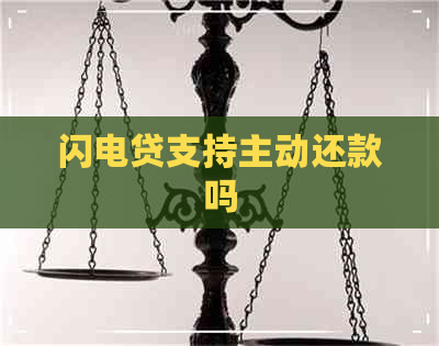 闪电贷支持主动还款吗