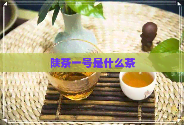 陕茶一号是什么茶