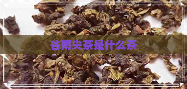 谷雨尖茶是什么茶