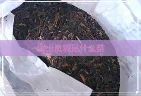 雪山凤羽是什么茶