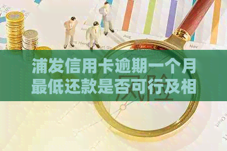 浦发信用卡逾期一个月更低还款是否可行及相关安全性问题