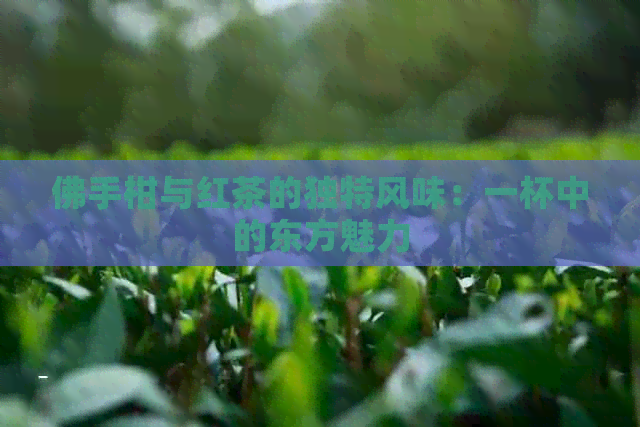 佛手柑与红茶的独特风味：一杯中的东方魅力