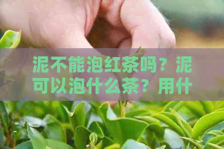 泥不能泡红茶吗？泥可以泡什么茶？用什么茶养？