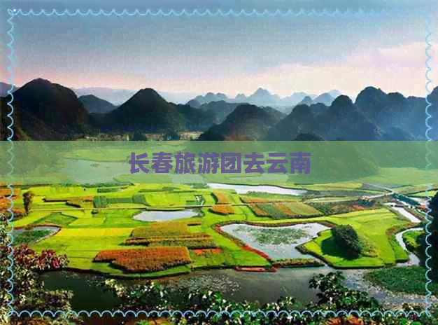 长春旅游团去云南