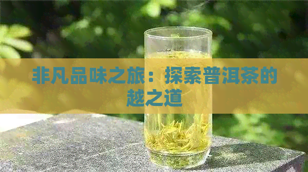 非凡品味之旅：探索普洱茶的越之道