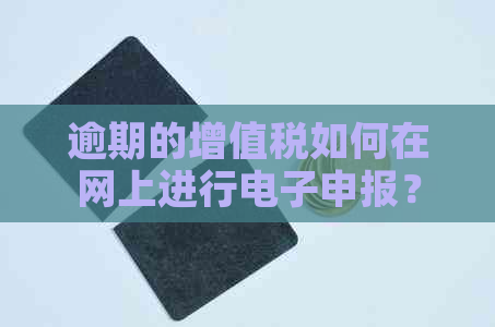 逾期的增值税如何在网上进行电子申报？ - 税务局指南