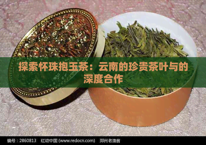 探索怀珠抱玉茶：云南的珍贵茶叶与的深度合作