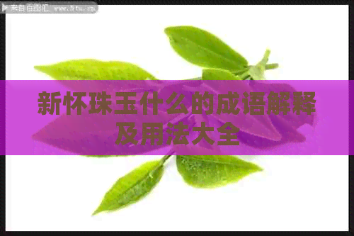 新怀珠玉什么的成语解释及用法大全