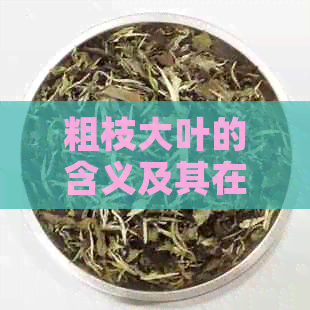 粗枝大叶的含义及其在生活中的应用