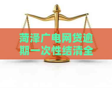 菏泽广电网贷逾期一次性结清全攻略：详尽注意事项及协商要点