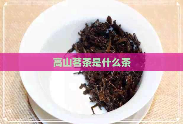 高山茗茶是什么茶