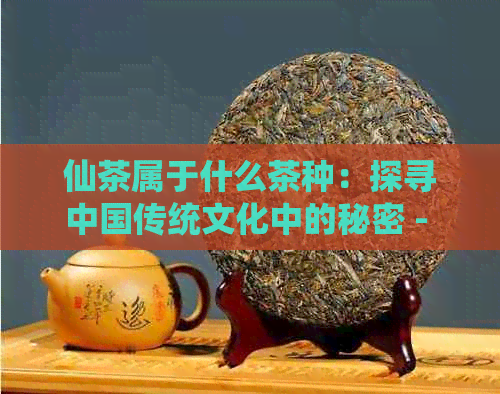 仙茶属于什么茶种：探寻中国传统文化中的秘密 - 仙茶种植及种类解析