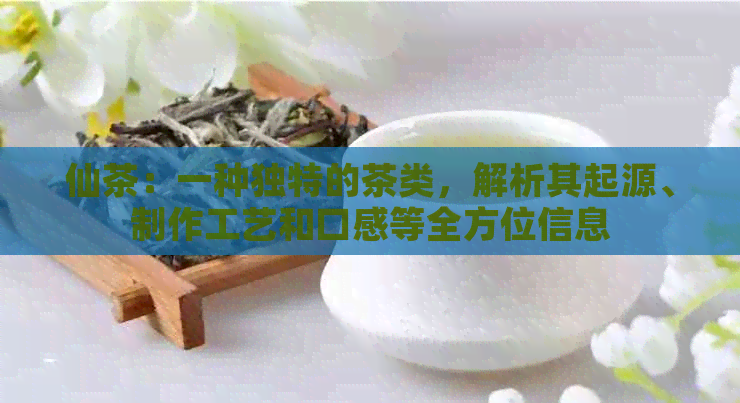 仙茶：一种独特的茶类，解析其起源、制作工艺和口感等全方位信息