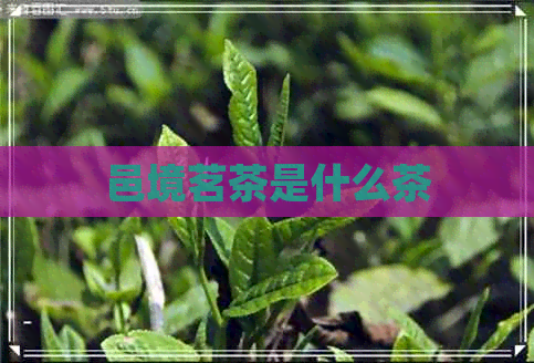 邑境茗茶是什么茶