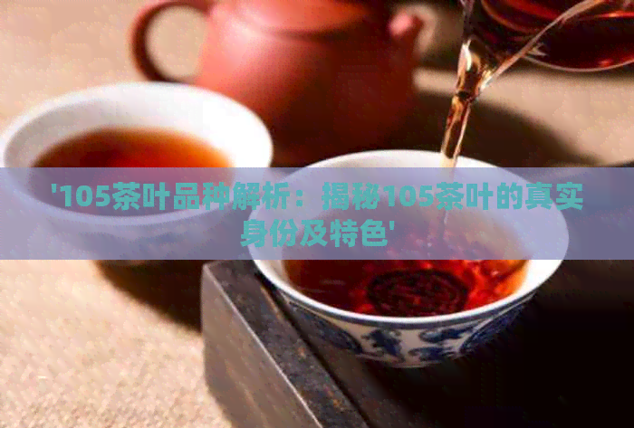 '105茶叶品种解析：揭秘105茶叶的真实身份及特色'