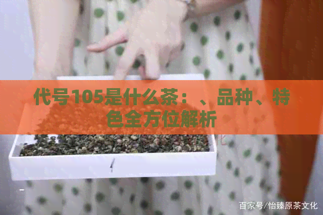 代号105是什么茶：、品种、特色全方位解析