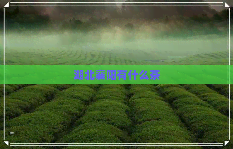 湖北襄阳有什么茶