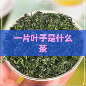 一片叶子是什么茶