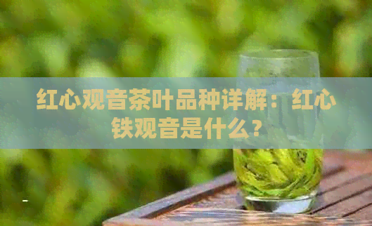 红心观音茶叶品种详解：红心铁观音是什么？