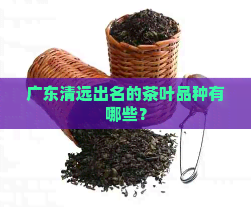 广东清远出名的茶叶品种有哪些？