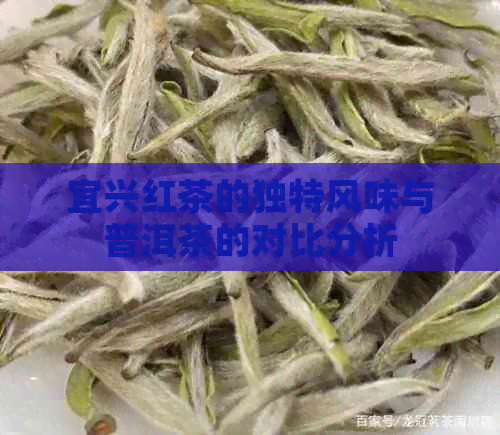 宜兴红茶的独特风味与普洱茶的对比分析