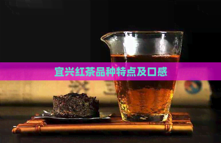 宜兴红茶品种特点及口感