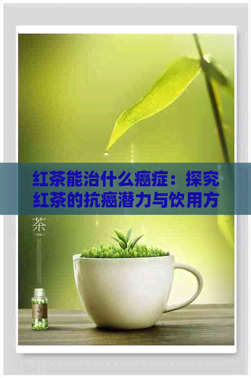 红茶能治什么癌症：探究红茶的抗癌潜力与饮用方式