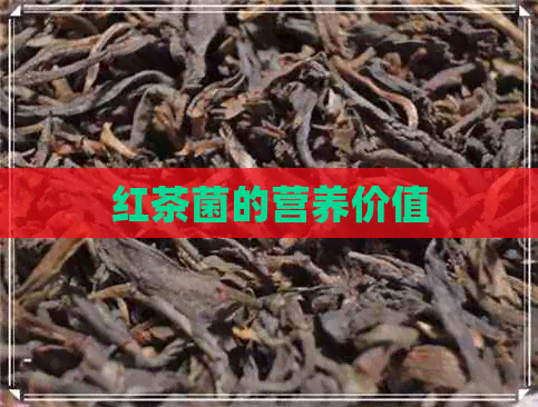 红茶菌的营养价值