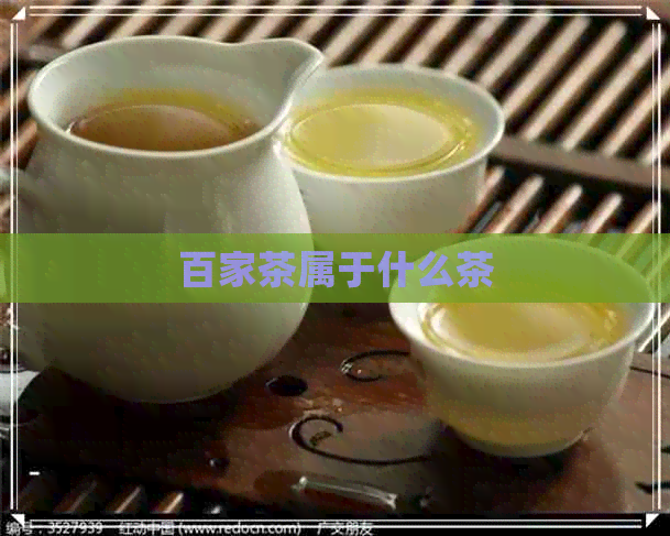 百家茶属于什么茶