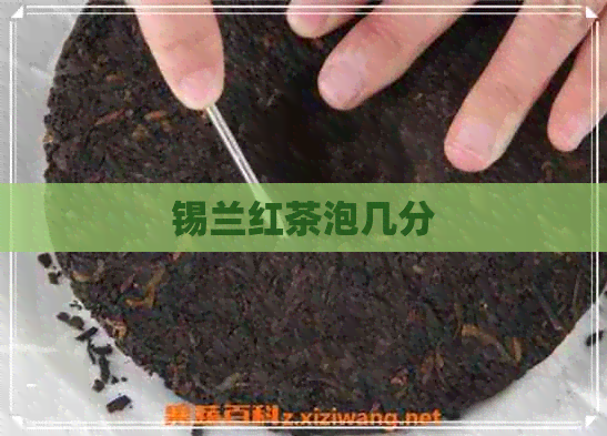 锡兰红茶泡几分