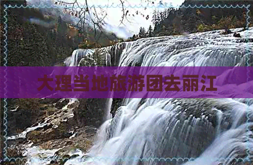 大理当地旅游团去丽江