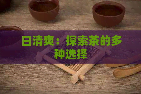 日清爽：探索茶的多种选择