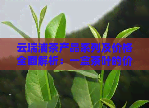 云瑞浦茶产品系列及价格全面解析：一盒茶叶的价格是多少？