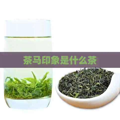 茶马印象是什么茶