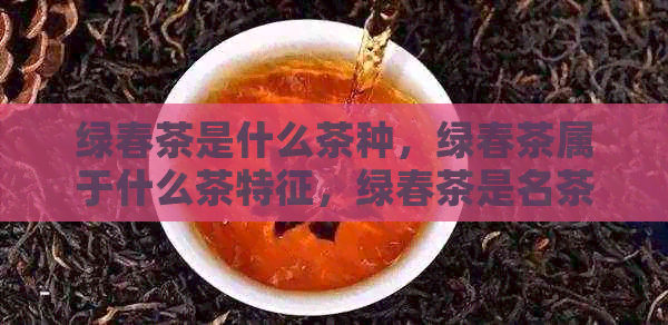 绿春茶是什么茶种，绿春茶属于什么茶特征，绿春茶是名茶吗？