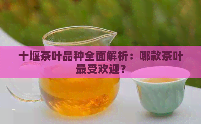 十堰茶叶品种全面解析：哪款茶叶更受欢迎？