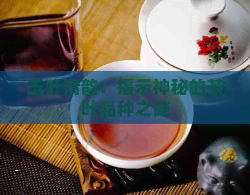 玉叶清韵：揭示神秘的茶叶品种之谜