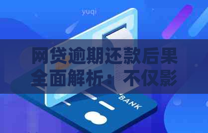 网贷逾期还款后果全面解析：不仅影响个人信用，还可能导致法律诉讼