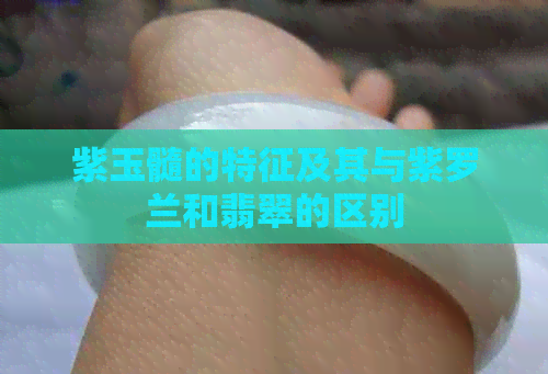 紫玉髓的特征及其与紫罗兰和翡翠的区别