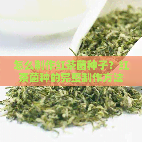 怎么制作红茶菌种子？红茶菌种的完整制作方法详解