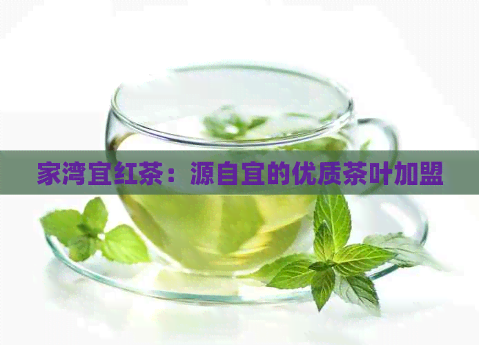 家湾宜红茶：源自宜的优质茶叶加盟