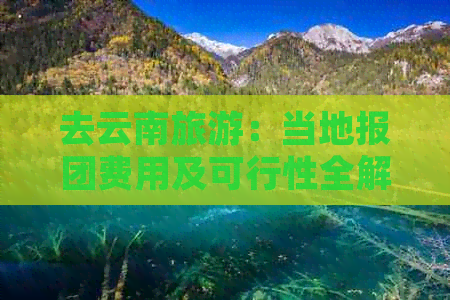 去云南旅游：当地报团费用及可行性全解析