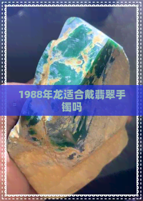 1988年龙适合戴翡翠手镯吗