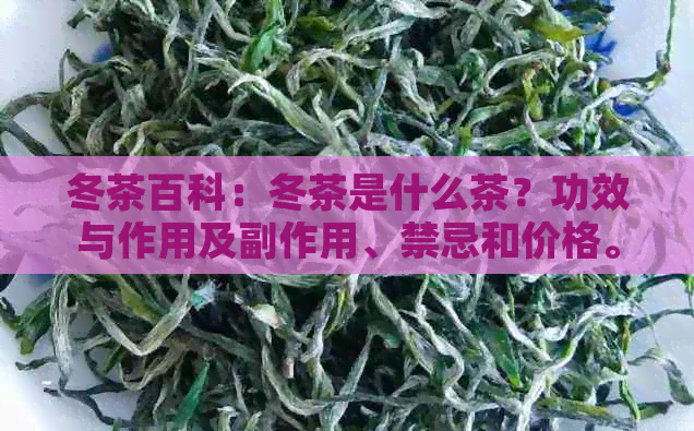 冬茶百科：冬茶是什么茶？功效与作用及副作用、禁忌和价格。