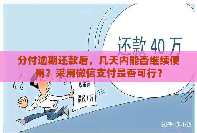 分付逾期还款后，几天内能否继续使用？采用微信支付是否可行？