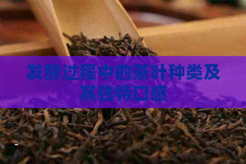 发酵过程中的茶叶种类及其独特口感