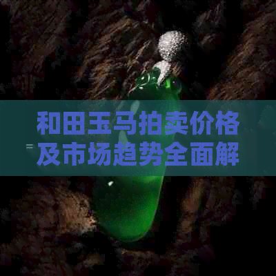 和田玉马拍卖价格及市场趋势全面解析：了解藏品价值、购买建议与未来发展