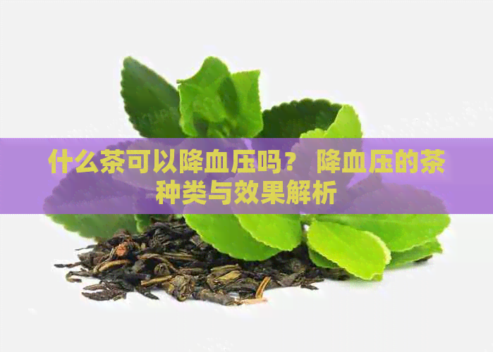 什么茶可以降血压吗？ 降血压的茶种类与效果解析