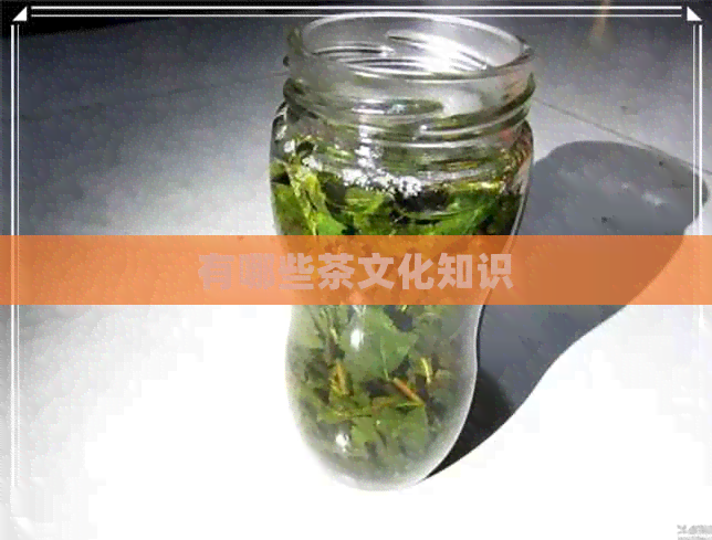 有哪些茶文化知识